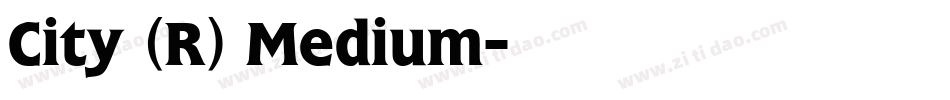 City (R) Medium字体转换